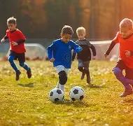 体育网页版,入口,资讯,3377体育官网,3377体育网页版入口,3377体育h5在线官网,3377体育app下载