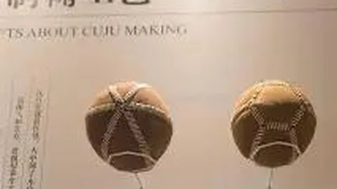 2025年浙江丙组青少年男子足球锦标赛于我区正式启动