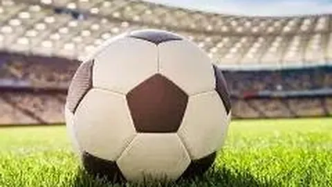 3377体育网页版入口 资讯 125523 068