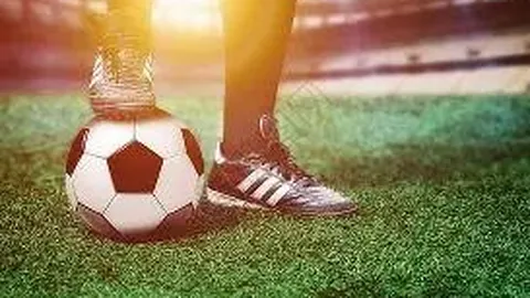 3377体育网页版入口 资讯 130635 y57