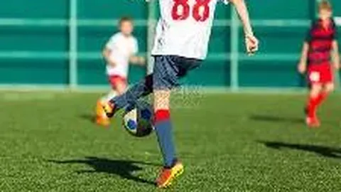 3377体育网页版入口 资讯 130618 y5c