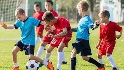 3377体育网页版入口 资讯 130628 54h