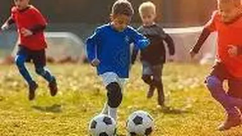 3377体育网页版入口 资讯 131627 snq