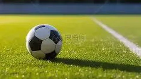 3377体育网页版入口 产品 131656 6oe