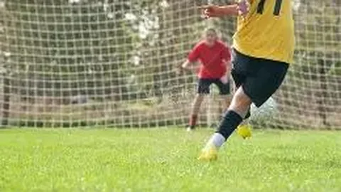 3377体育网页版入口 资讯 131646 cdo