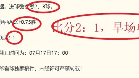 2026赛季瑞典超焦点战：哥德堡主场对决埃尔夫斯堡，独家彩蛋